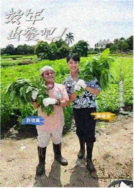 首尔街头美食 韩国美食纪实剧照